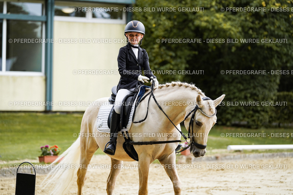 DSC05075 | Pferdegrafie