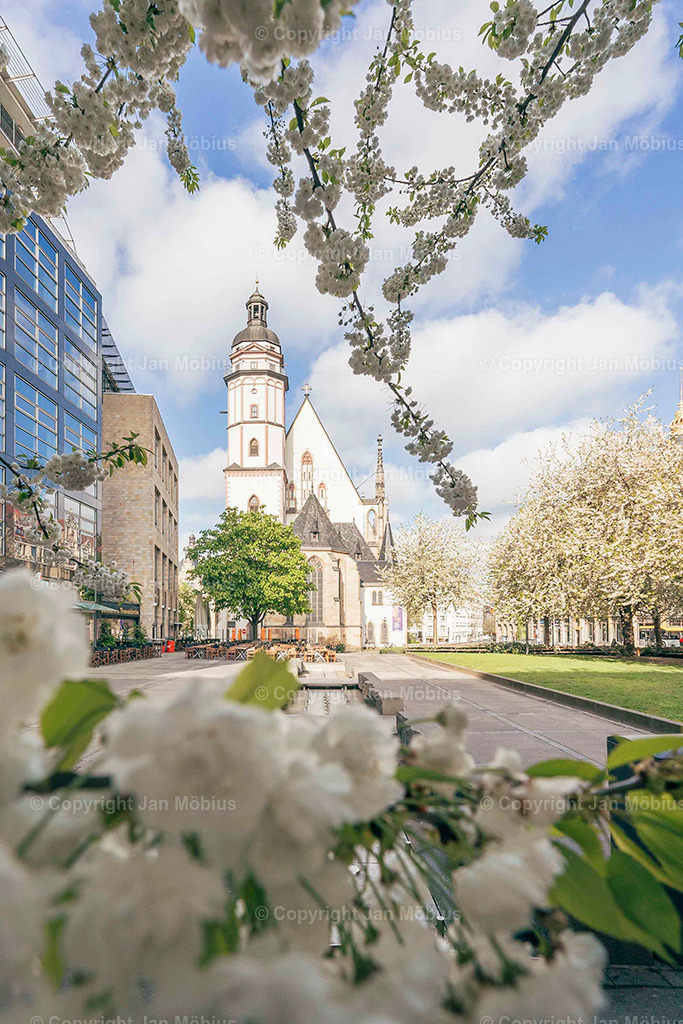 _DSC7345 | Leipzig Wandbilder Drucke Prints Leinwand Stadtmotive Leipzig Fotosdruck Kunstdrucke Bilder Leipzig Stadtansichten Acrylglasbilder Leipzig Wanddeko Fine Art Prints Wandbilder Büro Leipzig Bilder Praxis Zuhause Bilderdruck Poster Posterlounge Kunstdrucke - Realisiert mit Pictrs.com