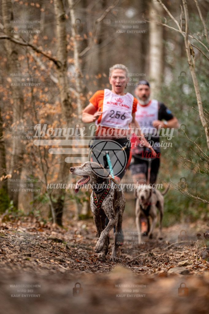 SPA_2023_DIM_CCK-24 | PayLife