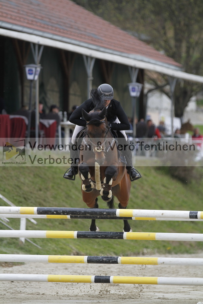 _MG_2639 | equestrian-live-com