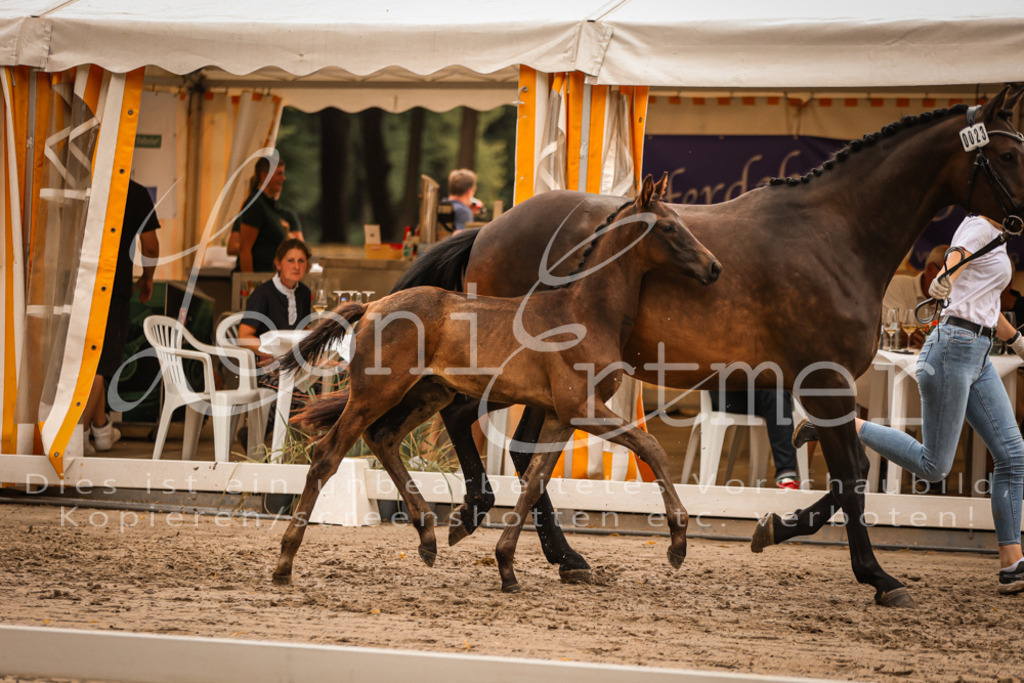 SaPA00337 | Leoni Ertmer Photography - Realisiert mit Pictrs.com