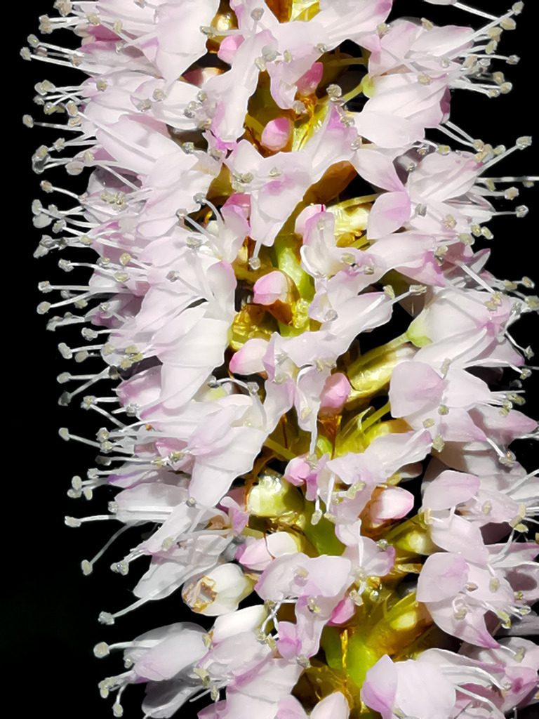 PSX_20230528_231707 | mtkfoto_ - Realisiert mit Pictrs.com