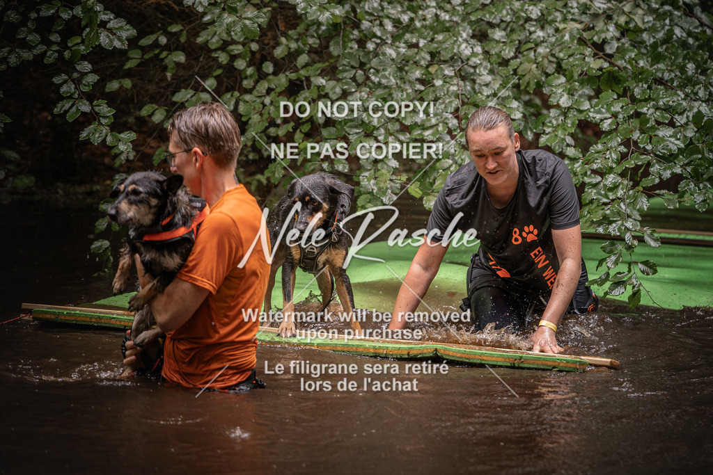 nelerasche_Wingst_Sa1330-1400_143 | nelerasche