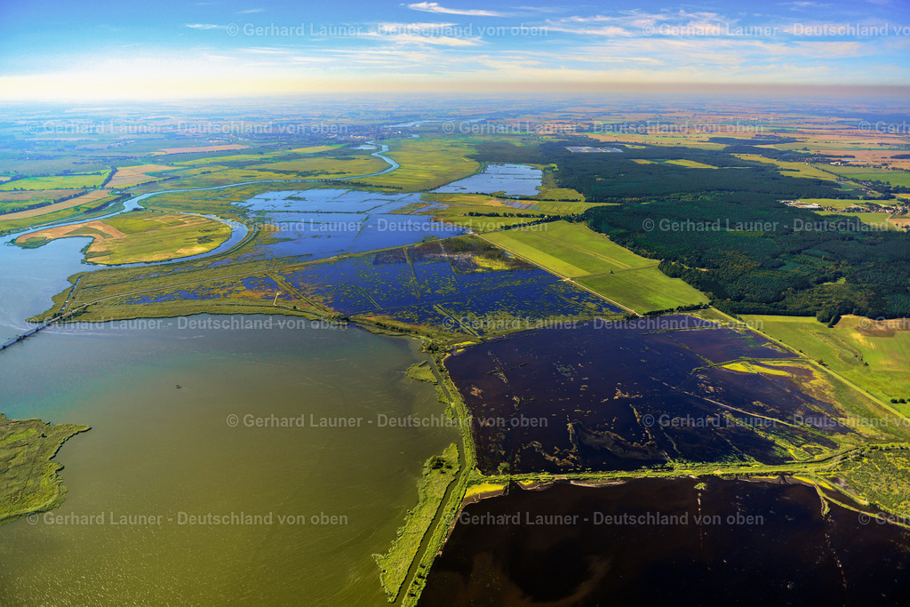 3637625 | Peene Flußlandschaft Vogelschutzgebiet, BUGGENHAGEN 25.08.2016 Tümpel und Morast- Wasseroberfläche mit Bäumen und Vegetation in einer Teichlandschaft in Buggenhagen im Bundesland Mecklenburg-Vorpommern, Deutschland. // Ponds and Morast- water surface with trees and vegetation in a pond landscape in Buggenhagen in the state Mecklenburg - Western Pomerania, Germany. Foto: Gerhard Launer