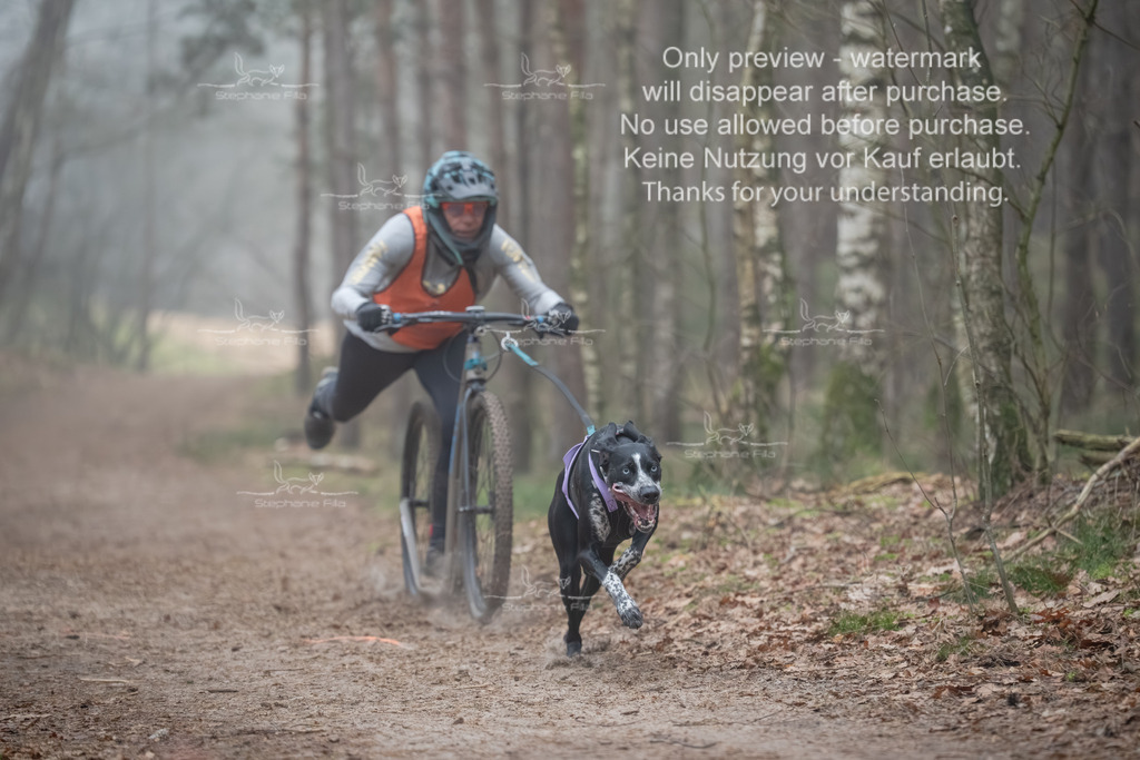 Scooter1-54 | stephaniefillaphotographie - Realisiert mit Pictrs.com