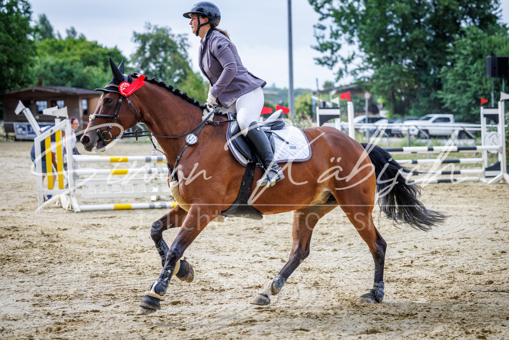 20260705-_3LI4090 | Tierfotografie Pferde, Hunde, Katzen, Haustiere.
Turnierfotografie Reitturniere, Reiten, Springreiten, Dressur in Hanau, dem Main-Kinzig-Kreis und dem Rhein-Main- Gebiet um Frankfurt