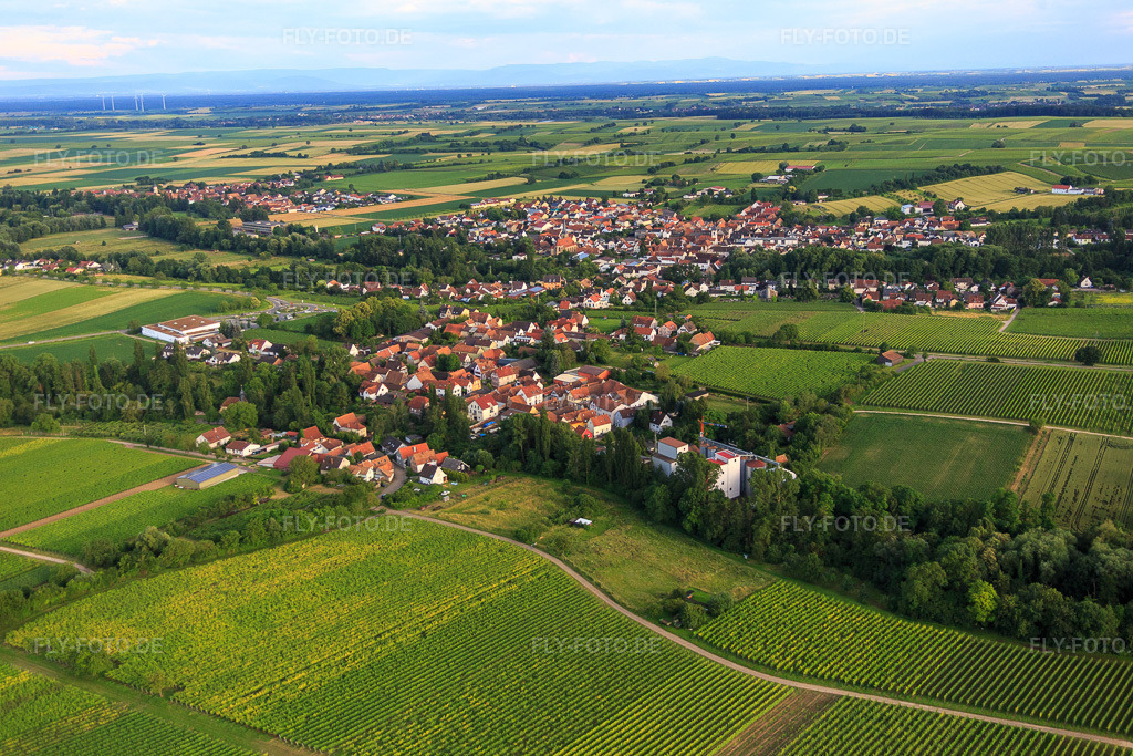 Luftbild: Ortsansicht von Nordwesten mit Bischoff-Mühle im Ortsteil Appenhofen in Billigheim-Ingenheim im Bundesland Rheinland-Pfalz in Deutschland. Foto: IMG_090199.jpg vom 26.06.2016 durch Werner Riehm/FLY-FOTO.deBischoff Mühle
