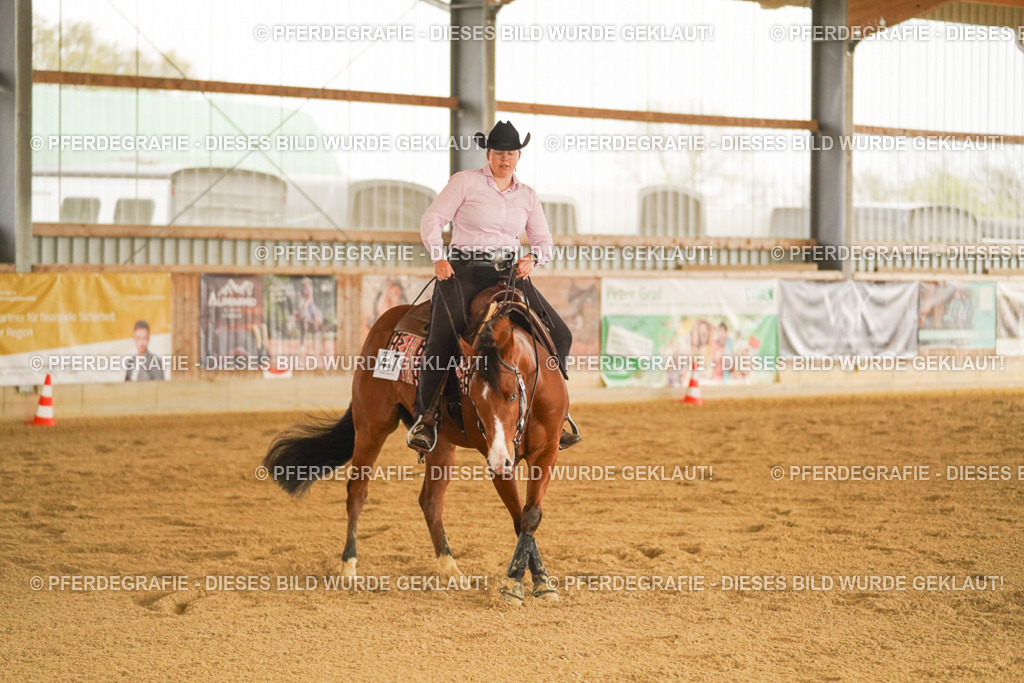 DSC00156 | Pferdegrafie