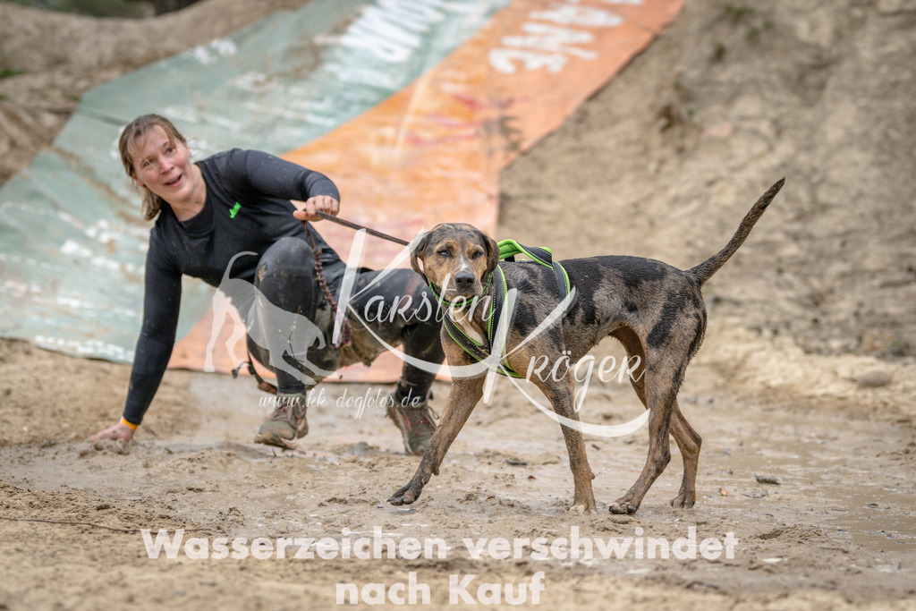 1249DSC_3417 | kk-dogfotos