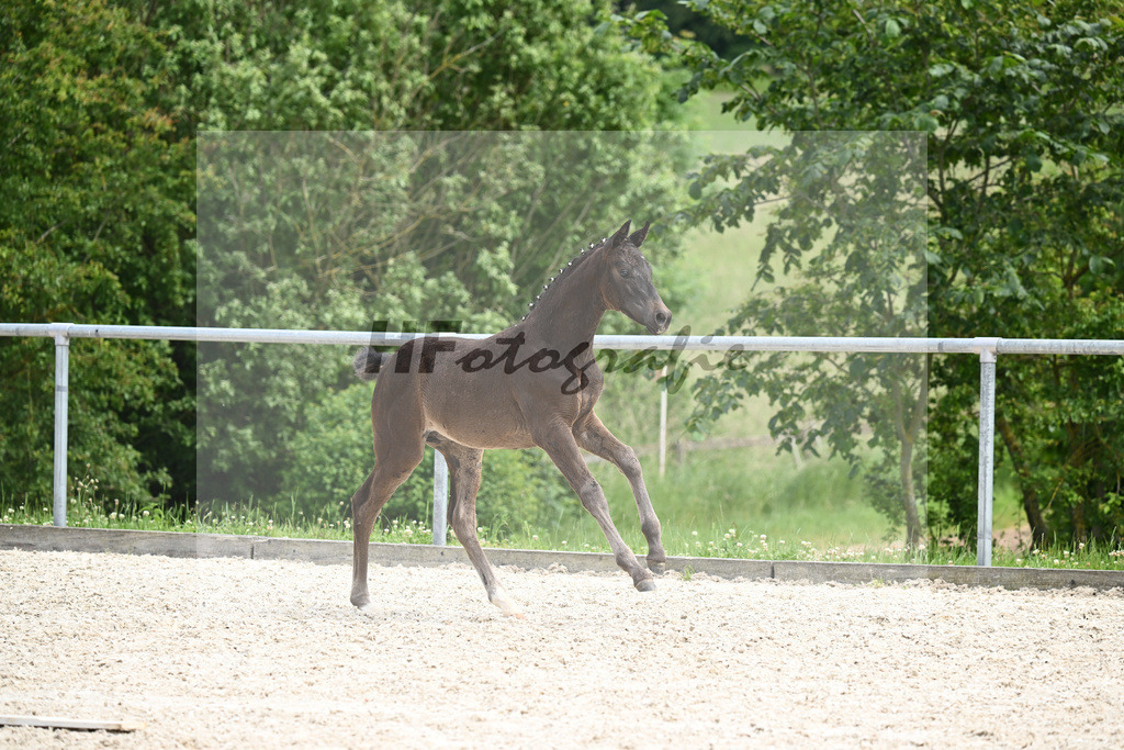 V-Power x Ray Ban_SF_Stadelmann_20240738 | hf-fotografie - Realisiert mit Pictrs.com