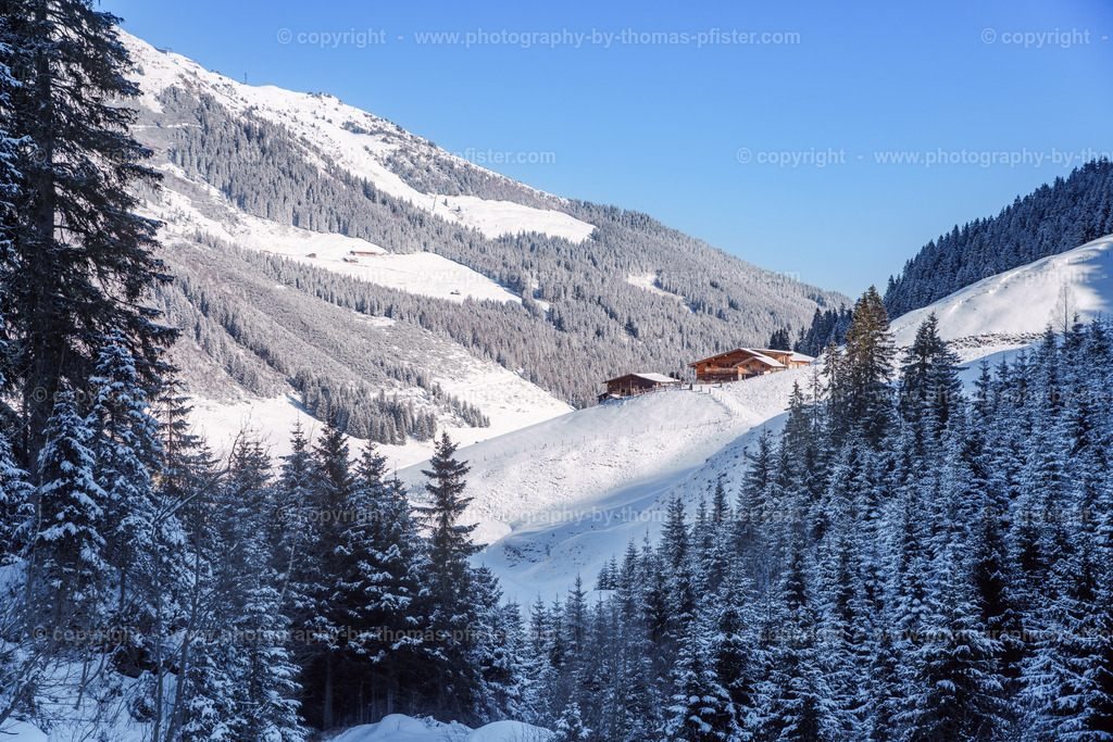  Hochfügen Winterwanderweg copyright  Thomas Pfister-20 | PHOTOGRAPHY BY THOMAS PFISTER