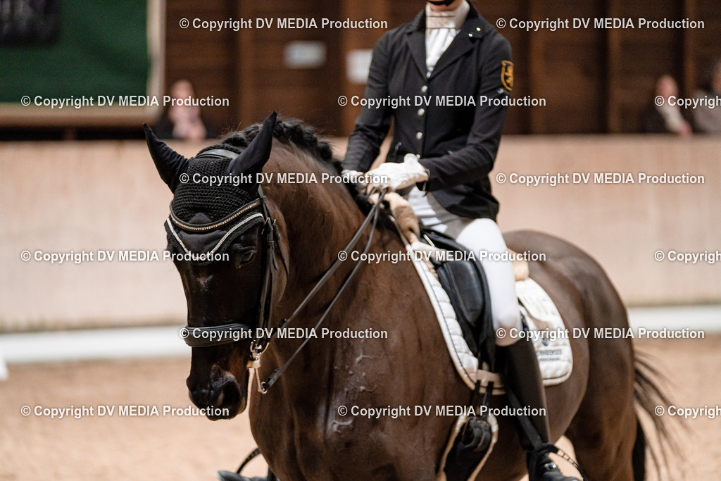 Dressur Tag 3-654 | dv-media-shop - Realisiert mit Pictrs.com