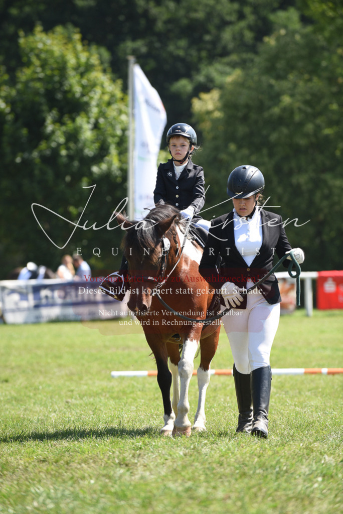 DSC_9813 | Pferde- und Turnierfotografie in Westsachsen. Pferdeportraits, Auftragszeichnungen und intuitive Kunst.
