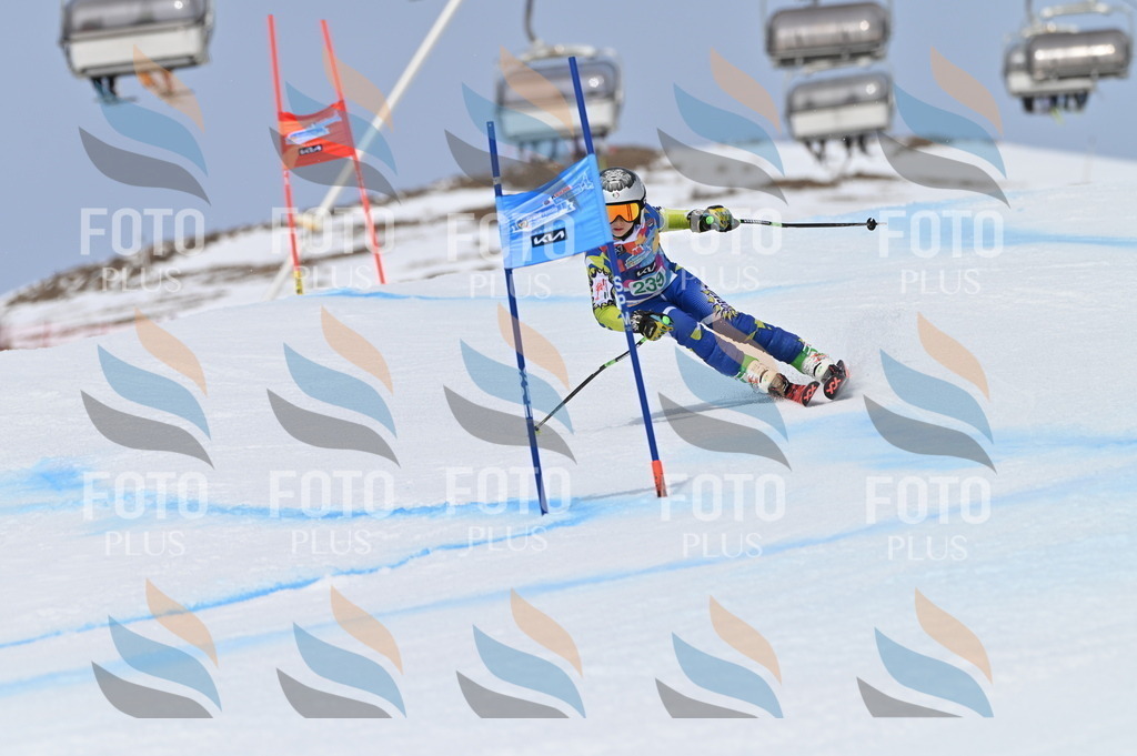 BGV_4728 | holidayphoto