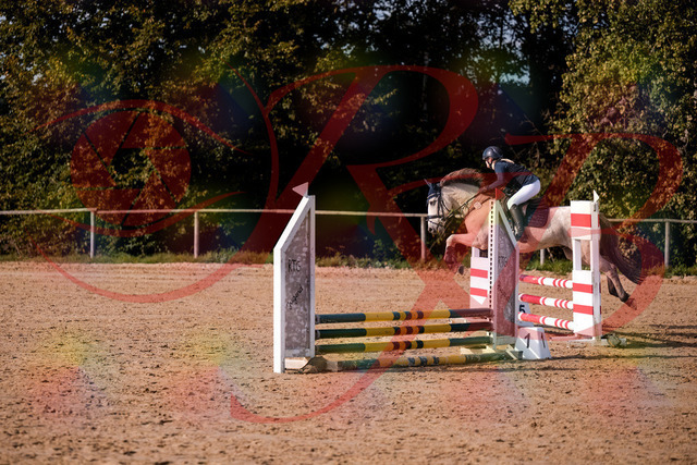 2026_10_03_Siefer-Hof_154533_Z81_64240490 | Professionelle Reitsport-, Turnier- und Eventfotografie von Robert Broda. Galerien mit ausgewählten und bearbeiteten Bildern direkt online ansehen und bestellen.