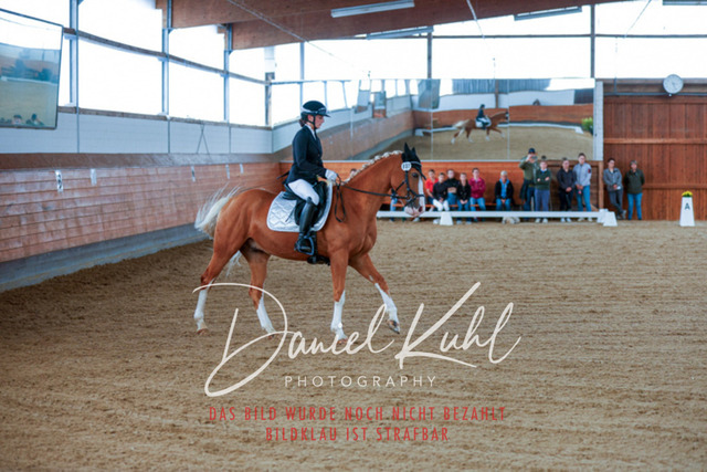 _62_5209 | Turniersportfotografie; Pferdefotografie; Dressurfotografie