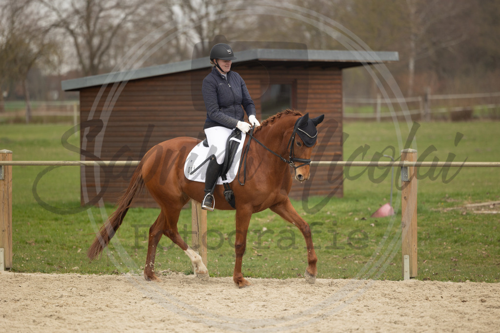 994A9312 | sabrinanicolaifotografie - Realisiert mit Pictrs.com