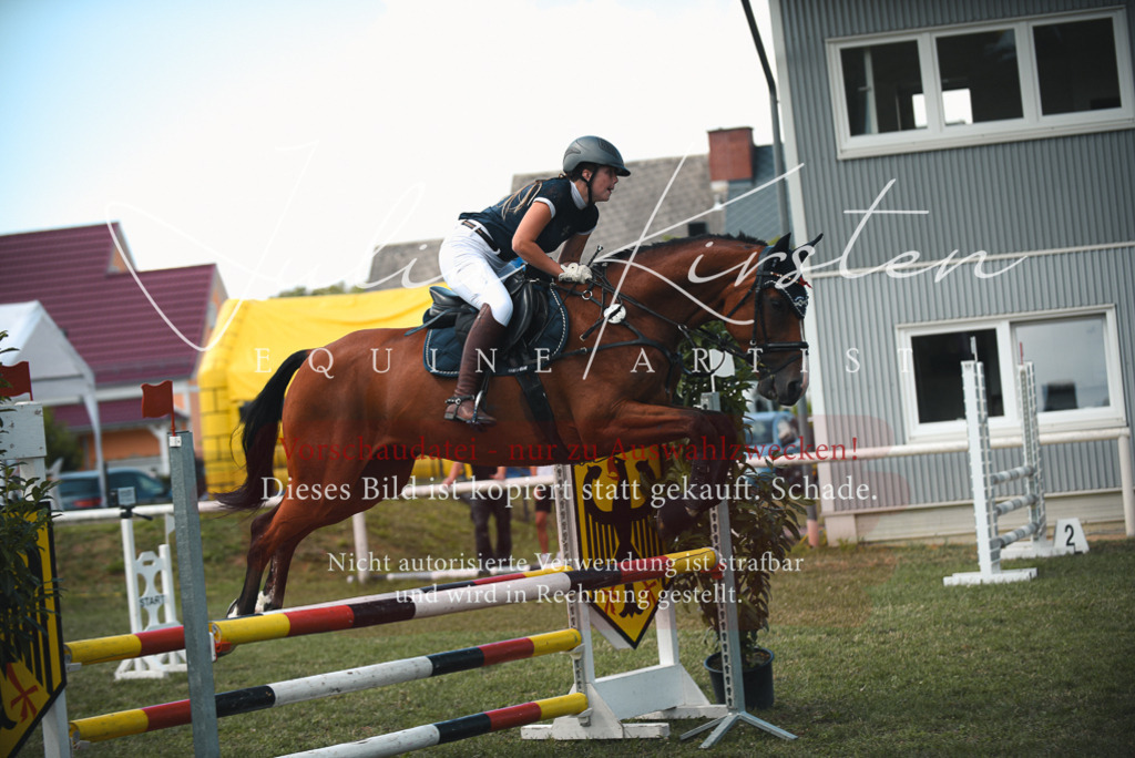 DSC_6470 | Pferde- und Turnierfotografie in Westsachsen. Pferdeportraits, Auftragszeichnungen und intuitive Kunst.