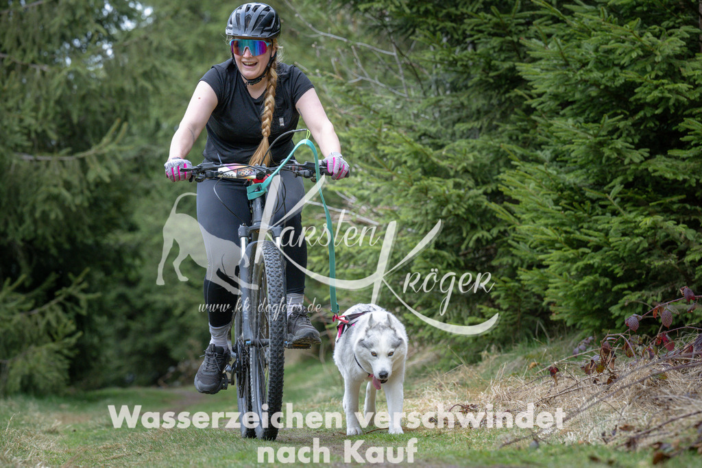 1317_ZZ94117 | kk-dogfotos