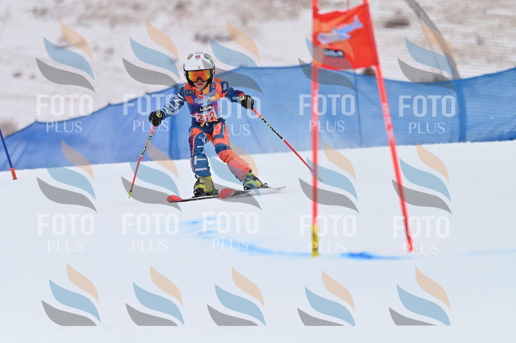 BGV_2527 | holidayphoto