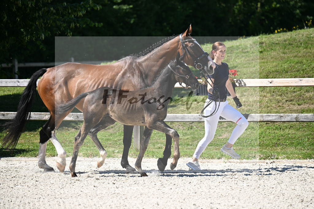 Kat-Nr. 26 Rotgold x Pilotek_SF_Fischer_24250291 | hf-fotografie - Realisiert mit Pictrs.com