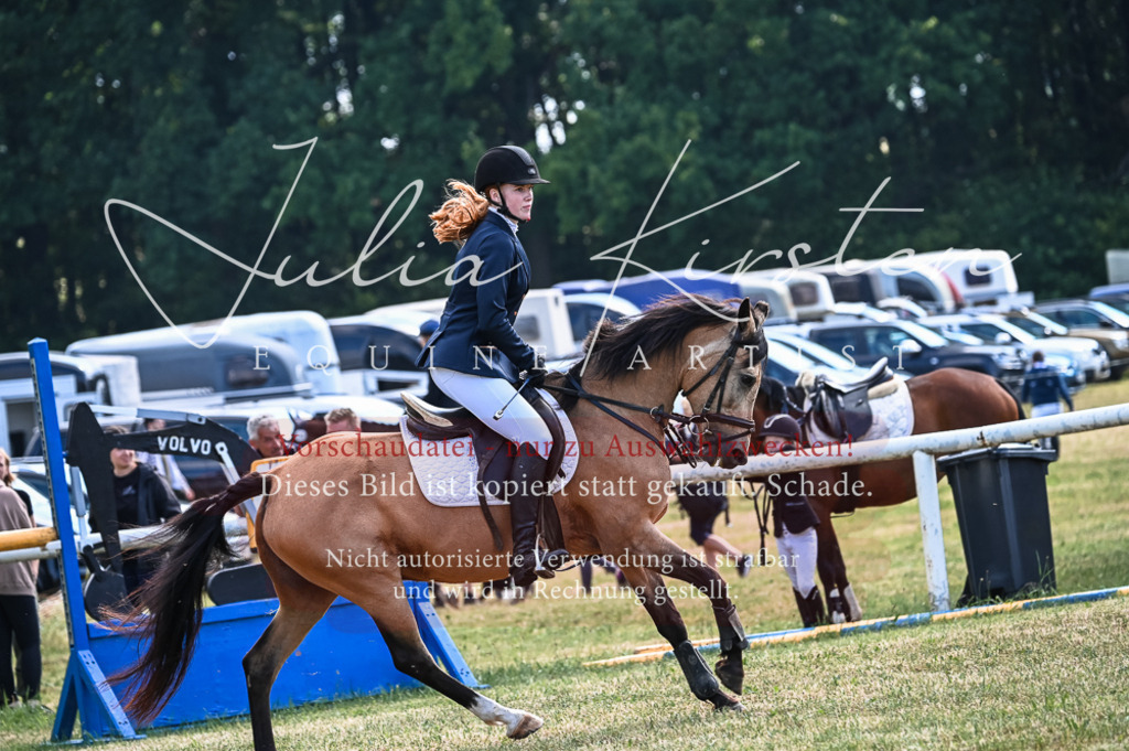 DSC_8032 | Pferde- und Turnierfotografie in Westsachsen. Pferdeportraits, Auftragszeichnungen und intuitive Kunst.
