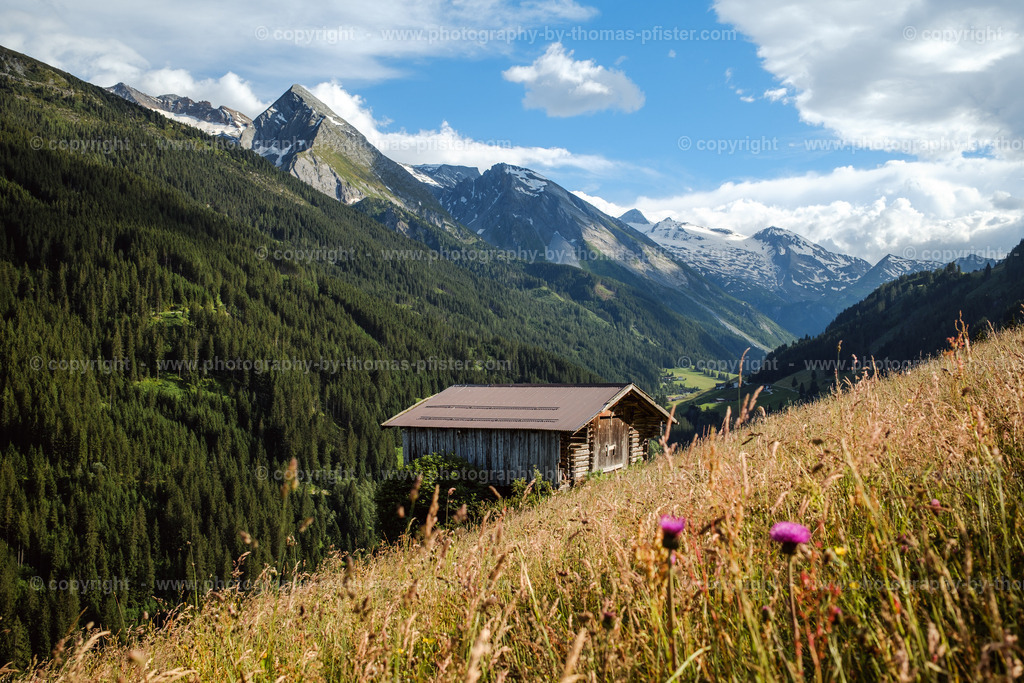 Sommer Tux copyright  Thomas Pfister-1 | PHOTOGRAPHY BY THOMAS PFISTER