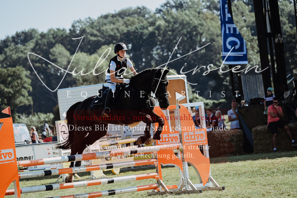 DSC_6010 | Pferde- und Turnierfotografie in Westsachsen. Pferdeportraits, Auftragszeichnungen und intuitive Kunst.