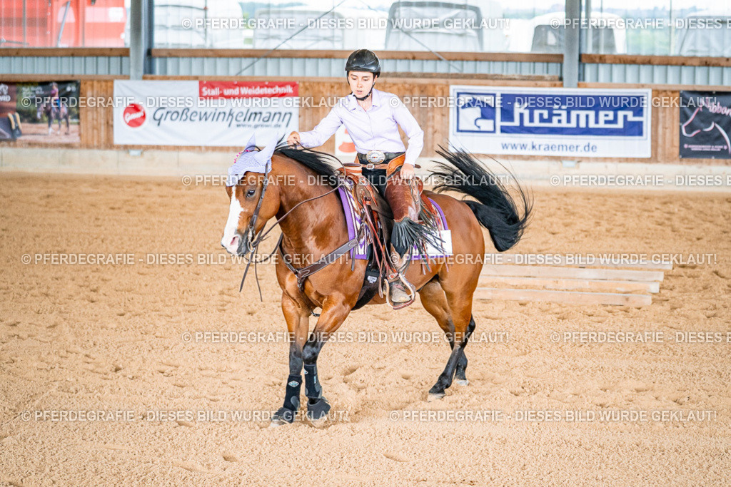 DSC09312 | Pferdegrafie