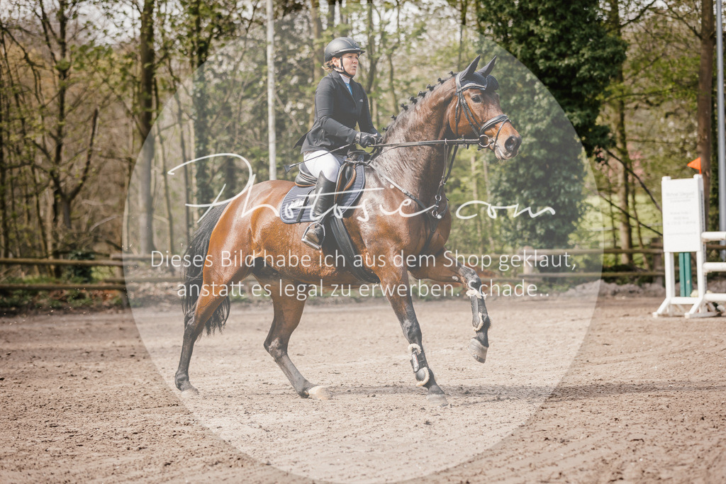 3I6A4171 | Stimmungsvolle Portraits und Reitsportfotografie im Ruhrgebiet und im Münsterland.

Pferdefotografie, Hundefotografie, Tierfotografie, Reportagen, Portraits von Tier und Mensch, Turnierfotografie in Bochum, Recklinghausen, Marl, Haltern am See, Dülmen.. - Realisiert mit Pictrs.com