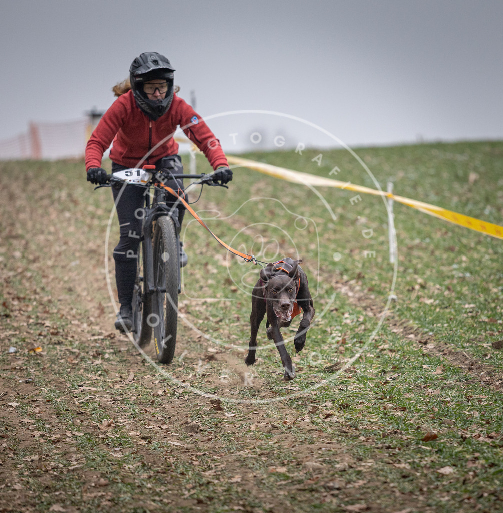Pfotenfotografie_DV3A1075 | Hundefotografie, Tierfotograf, Pfotenfotografie, Fotoshooting Hund, Hunde Portrait, Hundesport, Hundeportraits, Heideshooting, Hunde, Sportfotograf, Hundefotograf, Turnierhundsport, THS,  - Realisiert mit Pictrs.com