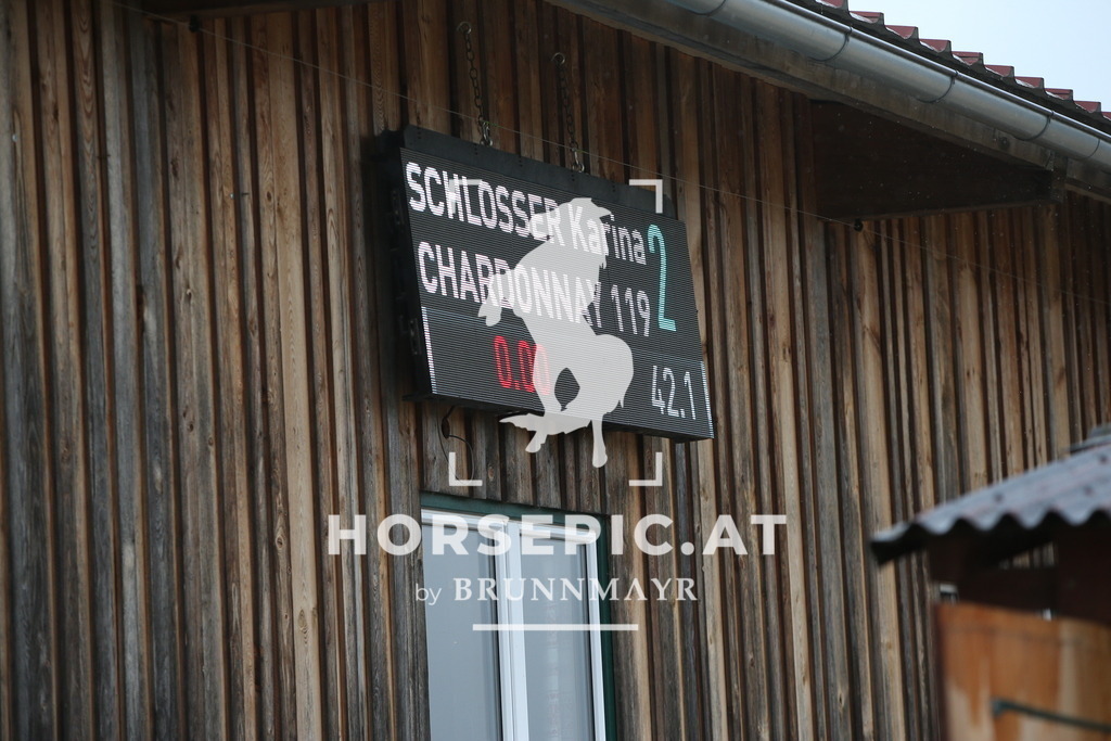 PP015611 | Willkommen bei Brunnmayr - Design & Fotografie – Ihrem Spezialisten für Reitturniere und Pferdeveranstaltungen in Oberösterreich, Salzburg und Bayern! Seit über 17 Jahren sind wir leidenschaftlich dabei.