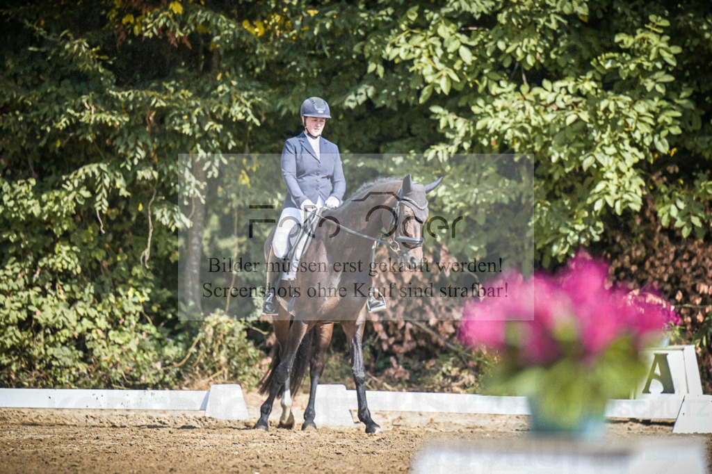 DOS_4238 | Entdecke hochwertige Reitturnierfotos von Foto Oger. Professionell, emotional und authentisch – jetzt Lieblingsmomente im Shop bestellen.Deutschlandweite Turnierfotografie. - Realisiert mit Pictrs.com