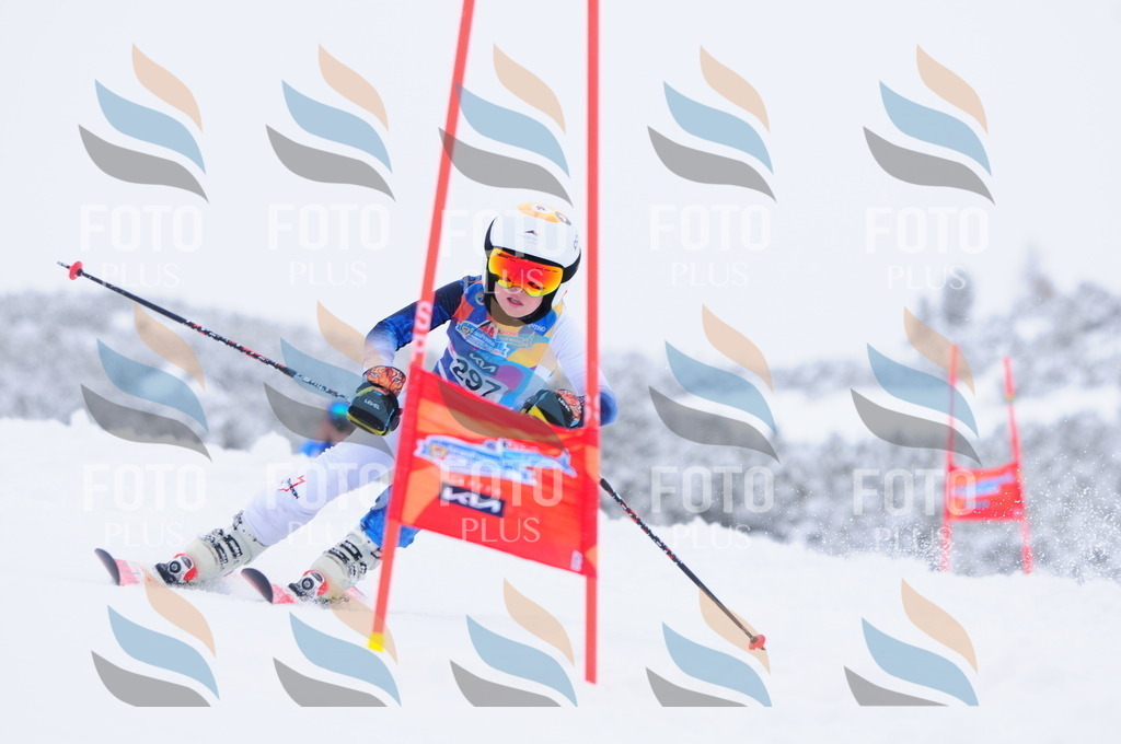 C3136 | holidayphoto