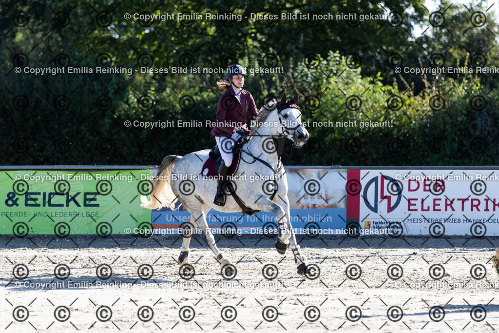 CL5A1229 | Emilia Reinking Fotografie - Realisiert mit Pictrs.com