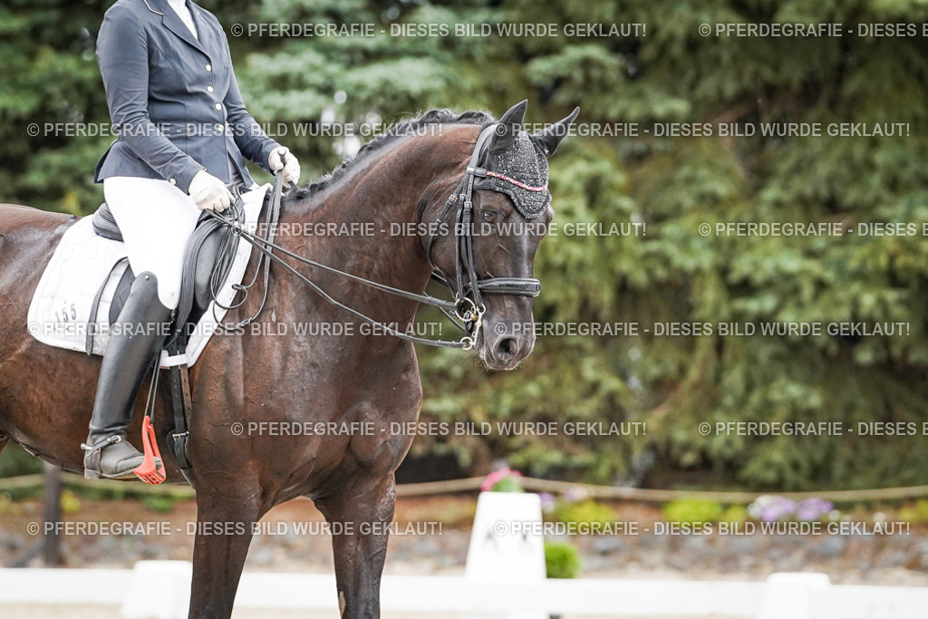 DSC04368 | Pferdegrafie