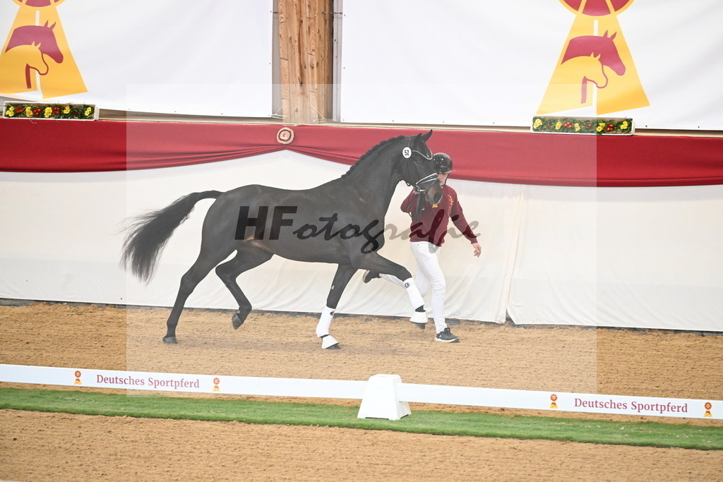 Kat.-Nr. 79 v. Taurus_Beckmann_2250346 | hf-fotografie - Realizzato con Pictrs.com