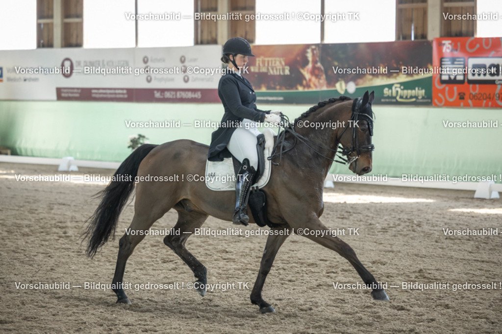 _D5A9876 | Emotionale Pferde- & People-Fotografie rund um Heidelberg, Leimen & Umgebung. Natürliche Fotos von Pferd, Mensch & Familie. Jetzt Termin sichern!