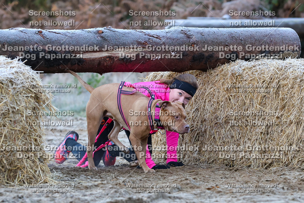 Dog Paparazzi - Strongdog 10-25-181 | Dog Paparazzi Jeanette Grottendiek Fotografie & Videografie - Realisiert mit Pictrs.com