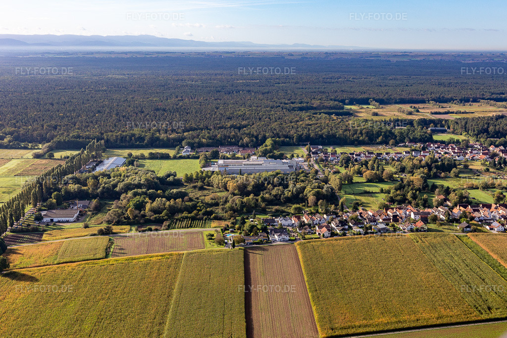 Luftbild: Webasto Mechatronics im Ortsteil Schaidt in Wörth im Bundesland Rheinland-Pfalz in Deutschland. Foto: IMG_129721.jpg vom 30.09.2021 durch Werner Riehm/FLY-FOTO.de