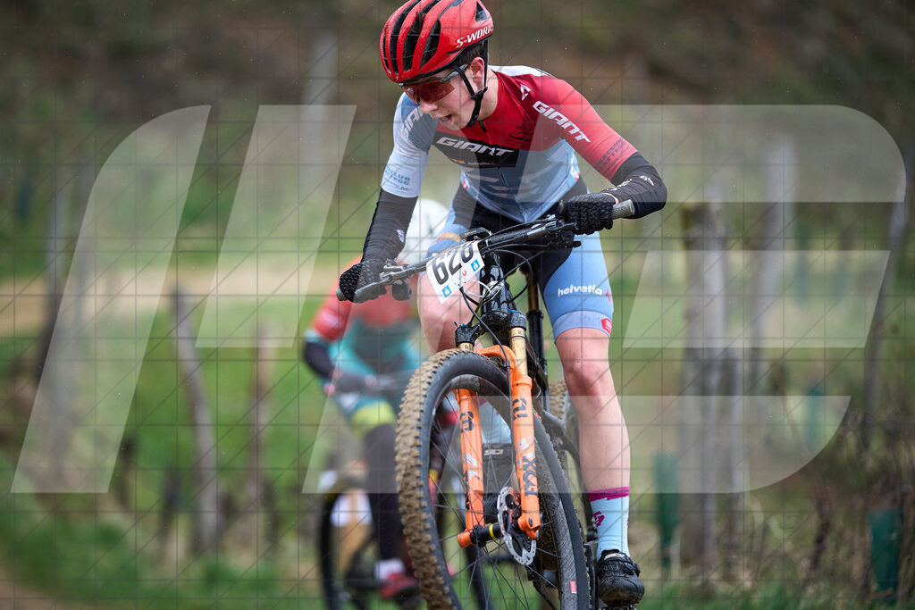 34. KTM Kamptal Trophy  | ZÖBING, Österreich – 2026-03-29: 34. KTM Kamptal TrophyFoto: © 2026 Martin Bihounek - MB Creative e.U.