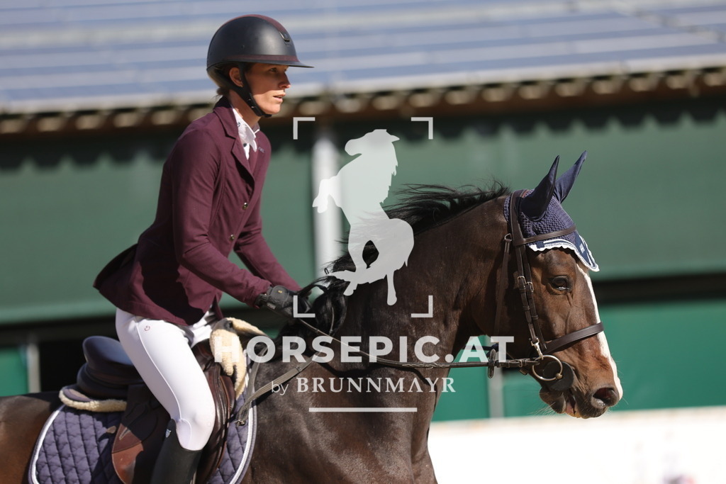 0P6A8777 | Willkommen bei Brunnmayr - Design & Fotografie – Ihrem Spezialisten für Reitturniere und Pferdeveranstaltungen in Oberösterreich, Salzburg und Bayern! Seit über 17 Jahren sind wir leidenschaftlich dabei.