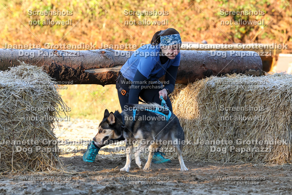 Dog Paparazzi - Strongdog 10-25-636 | Dog Paparazzi Jeanette Grottendiek Fotografie & Videografie - Realisiert mit Pictrs.com