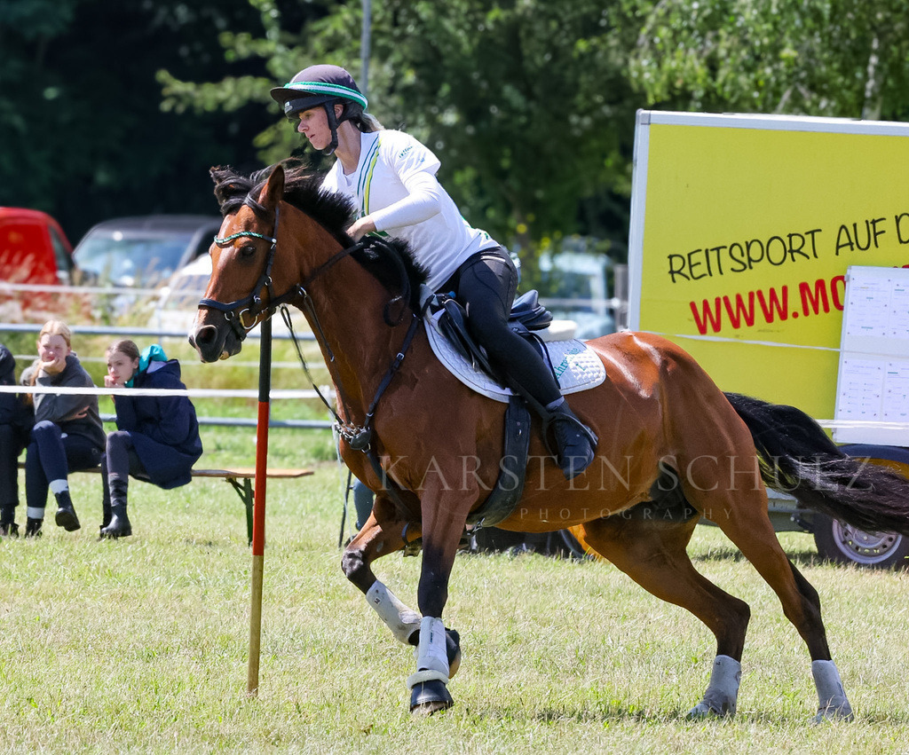 IMG_1611 | Reitsport Reiten