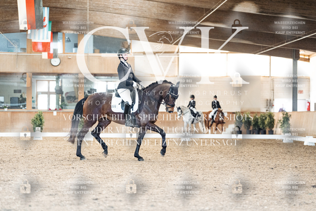 CK908841 | Turnierfotografie Pferdefotografie Trier Rheinland-Pfalz Pferdesport Reitsport Tierfotografie Sportfotografie Pferdevideo Pferdevideografie Equestrianvideography equestrianphotography  - Realisiert mit Pictrs.com