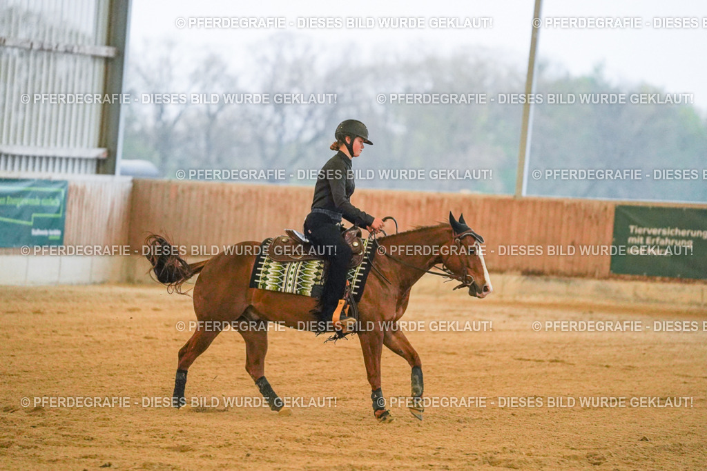 DSC09494 | Pferdegrafie