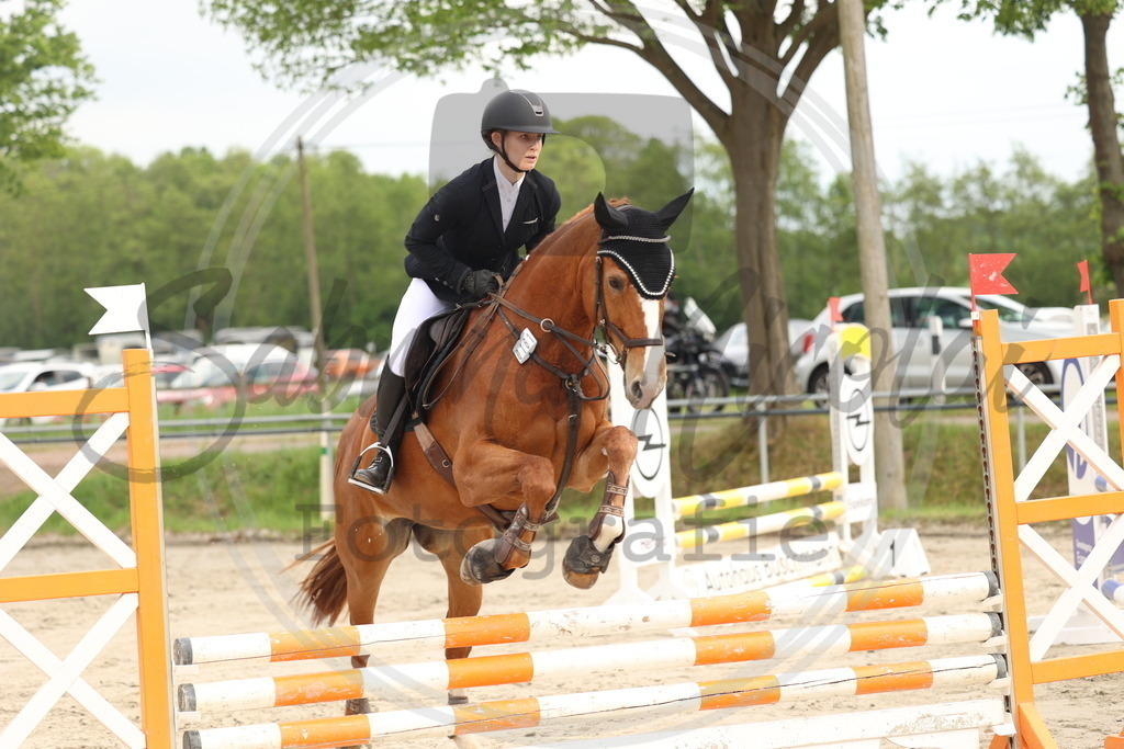 994A8178 | sabrinanicolaifotografie - Realisiert mit Pictrs.com