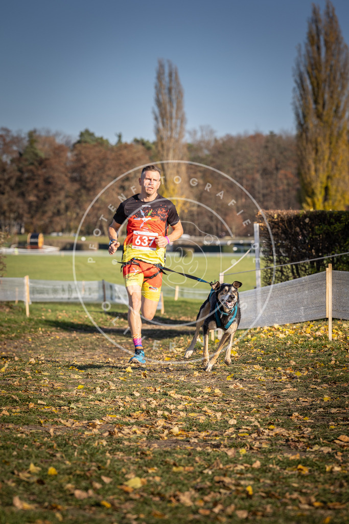CaniXpix_DV3A0246 | Hundefotografie, Tierfotograf, Pfotenfotografie, Fotoshooting Hund, Hunde Portrait, Hundesport, Hundeportraits, Heideshooting, Hunde, Sportfotograf, Hundefotograf, Turnierhundsport, THS,  - Realisiert mit Pictrs.com