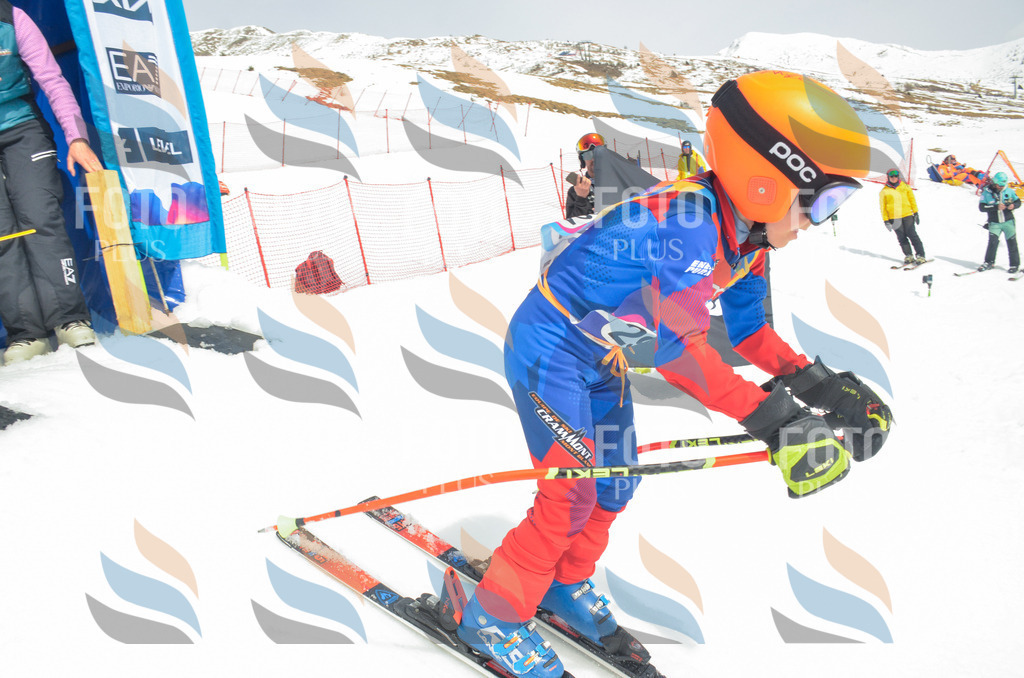 _ELE8150 | holidayphoto