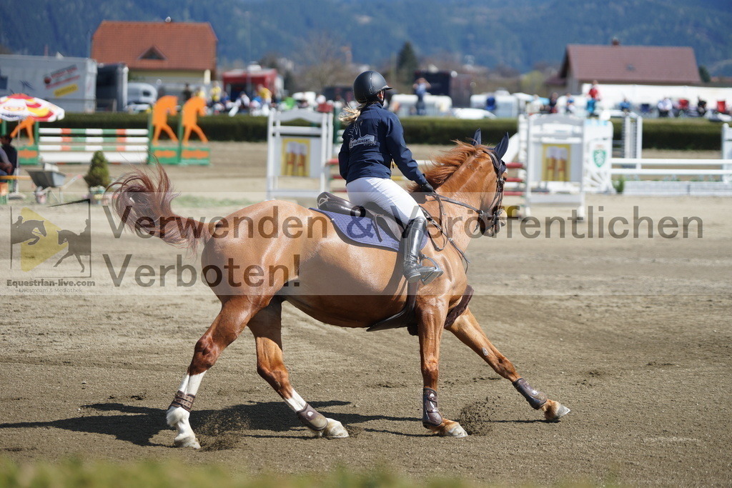 DSC02953 | equestrian-live-com